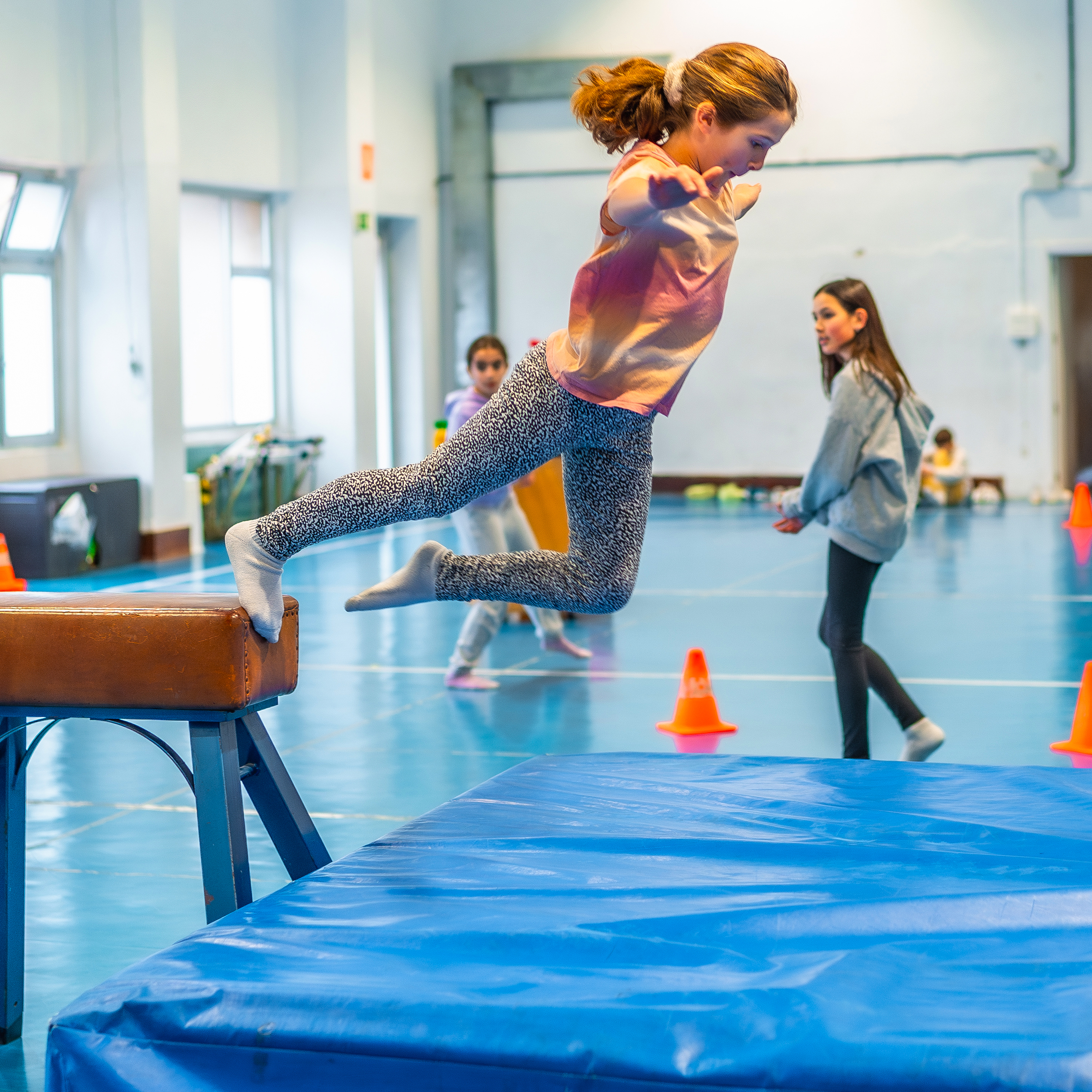 Gymnastic Mat