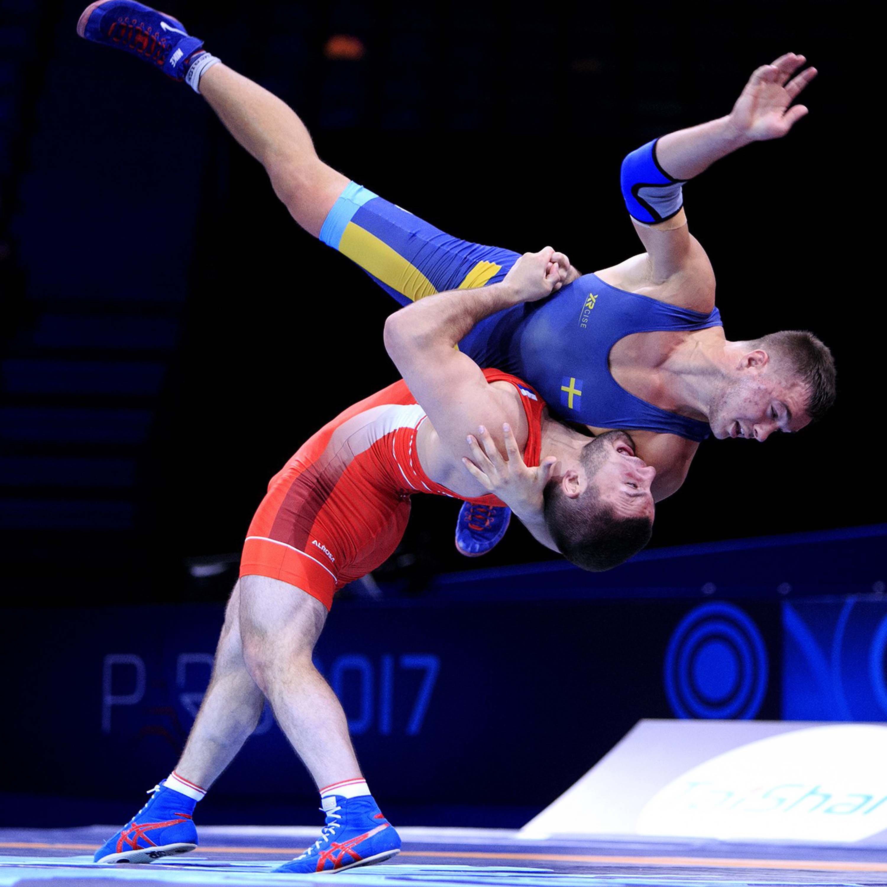Wrestling Mat