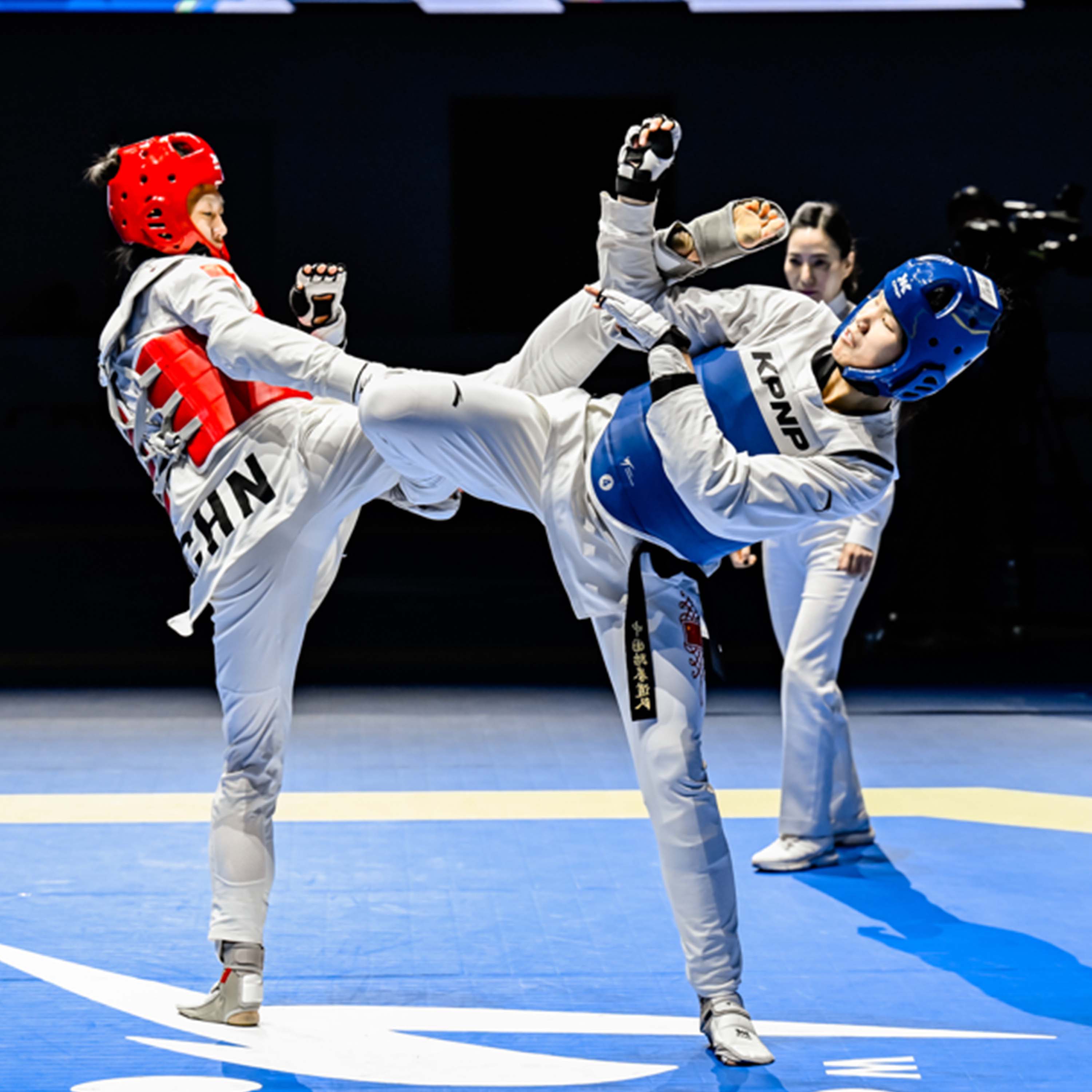 Taekwondo Mat