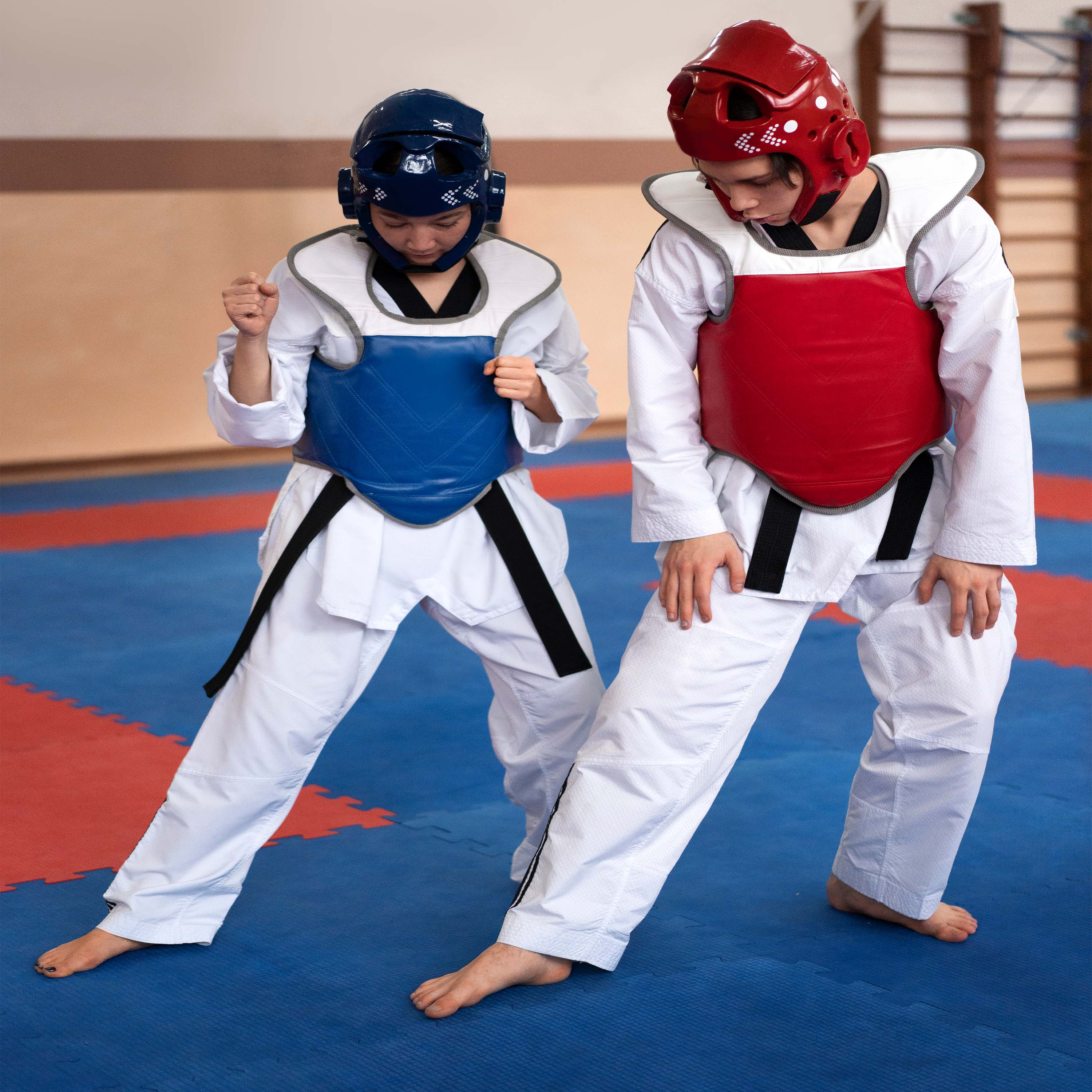 Taekwondo Training Mat