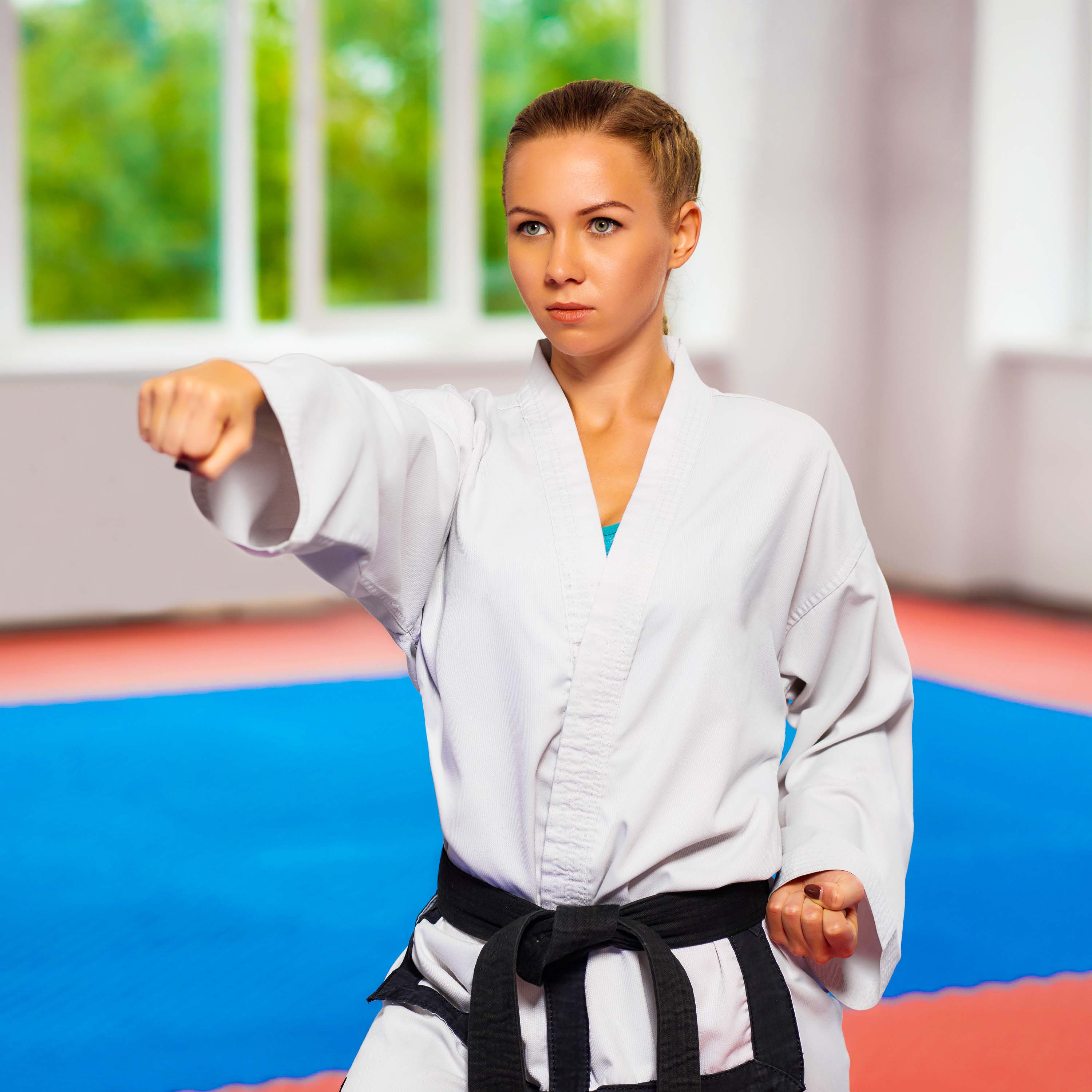 Karate Mats