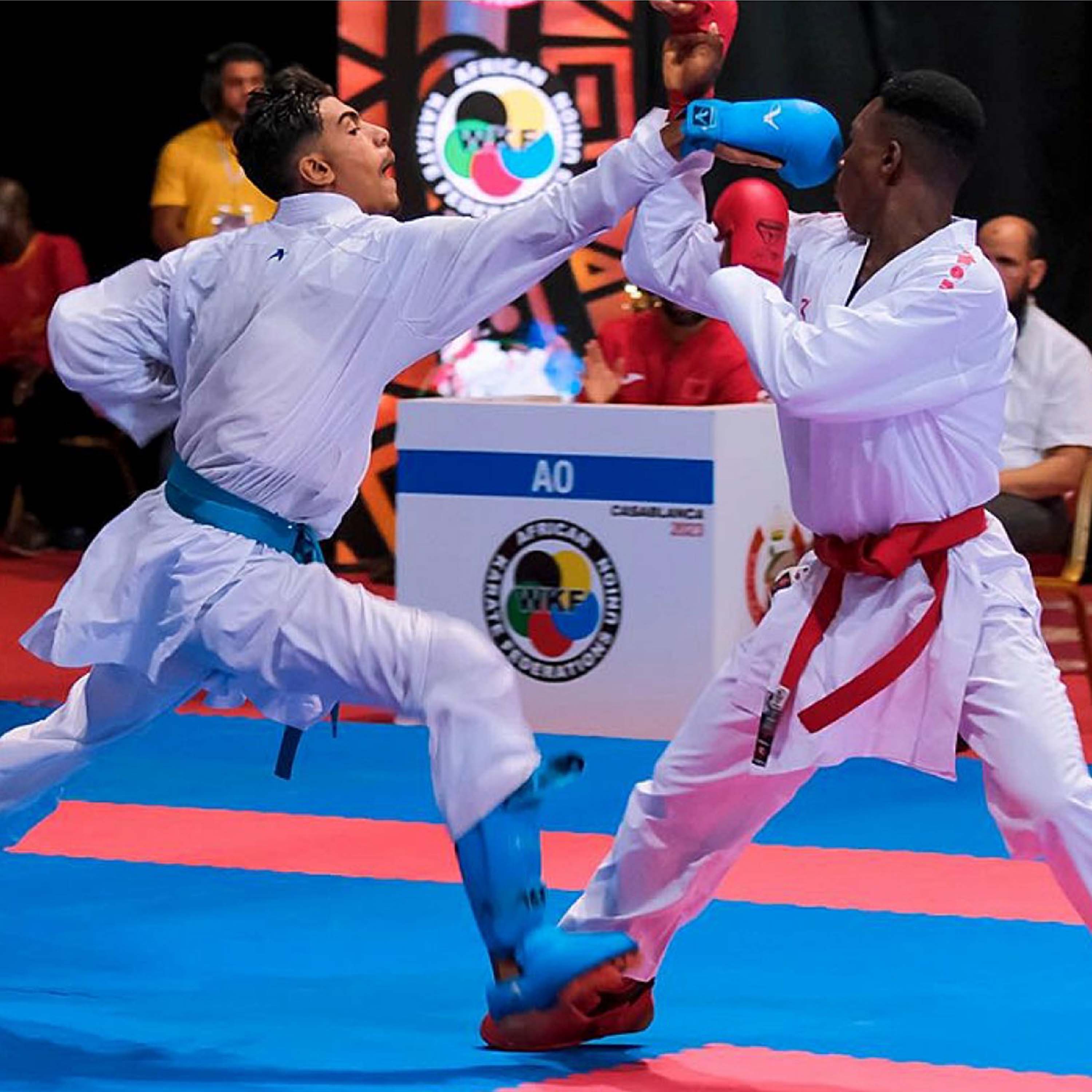 Karate Mats