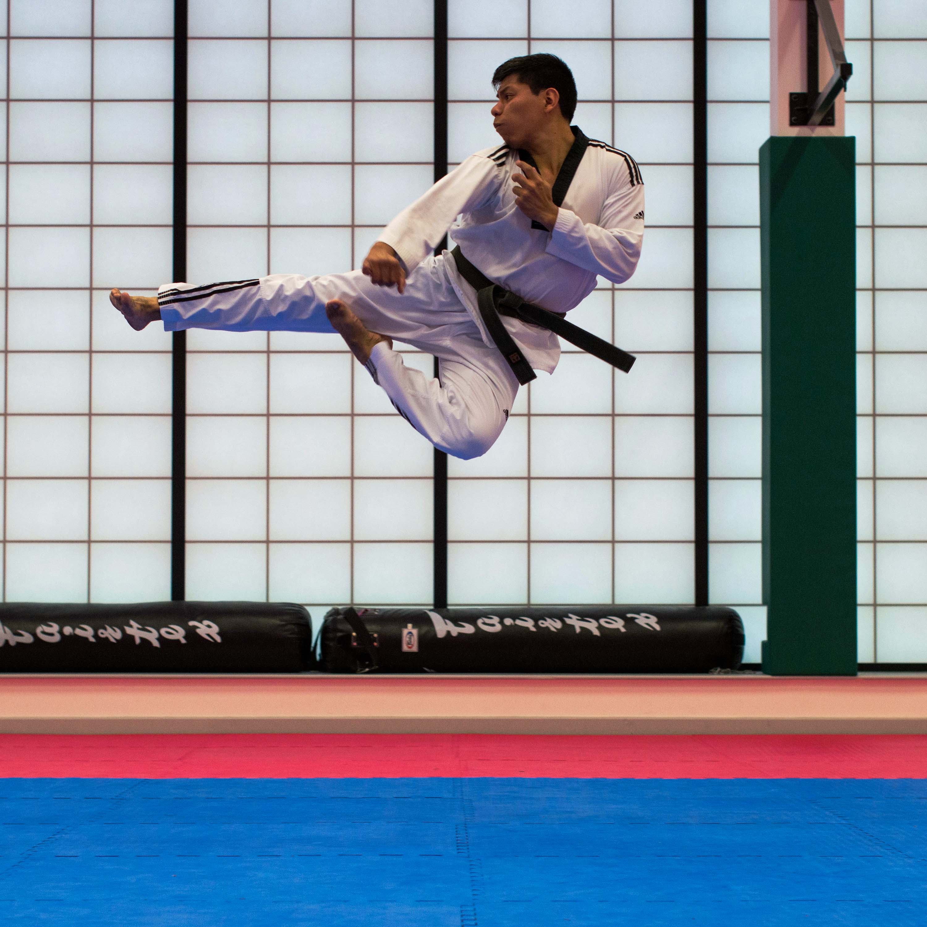 Martial Arts Mats 