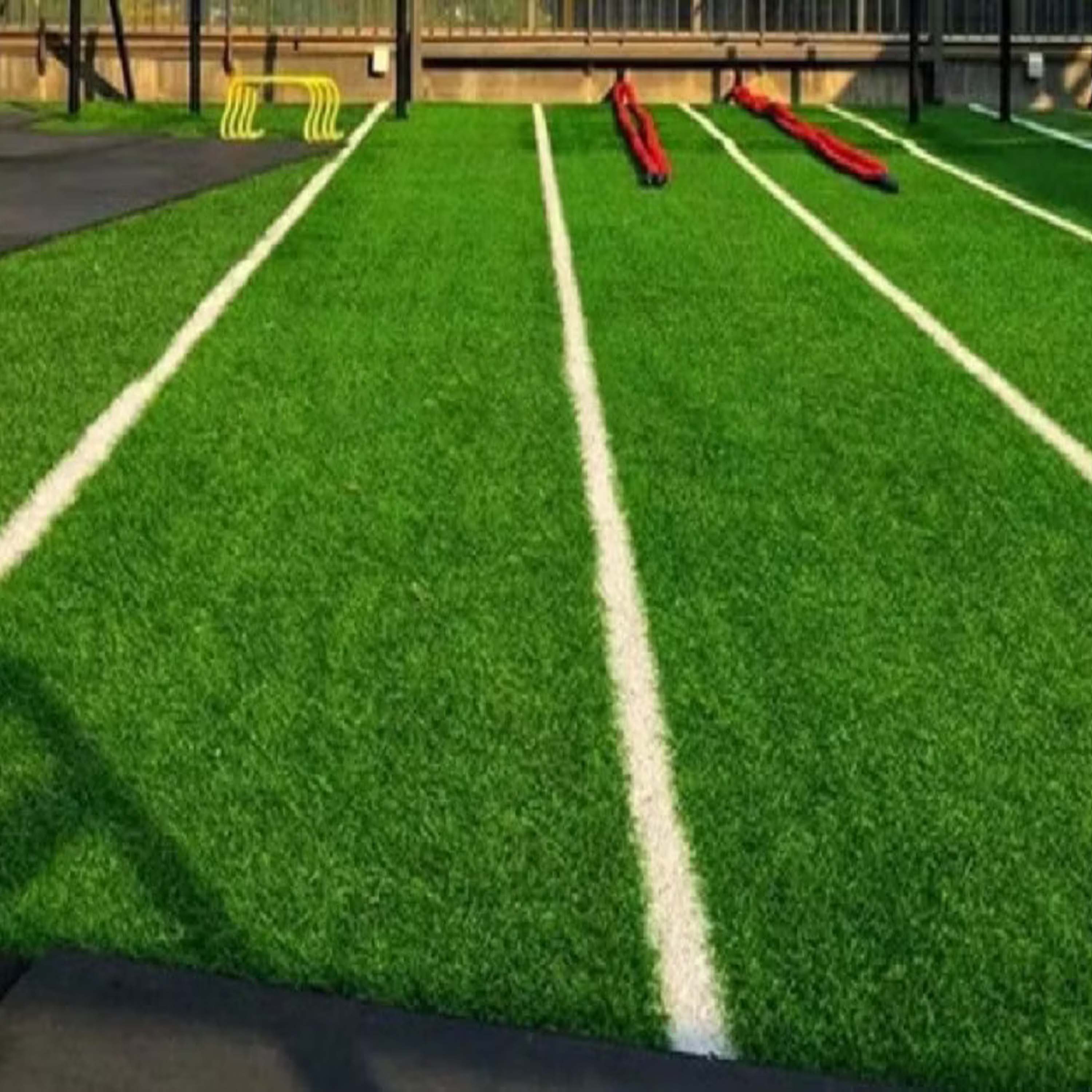 Turf & Sled Tracks 