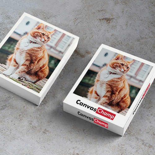 Playing Cards