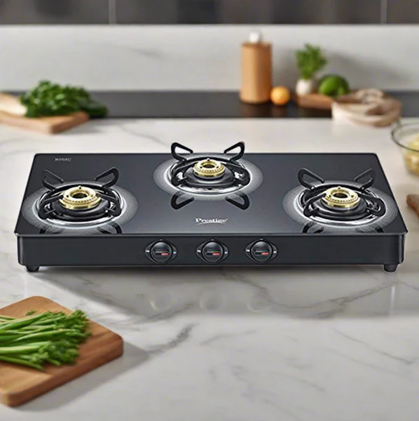 INDUCTION COOKTOP & GAS STOVE